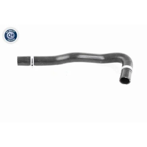 Шланг радіатора VAICO Q+ V25-1248 для FORD нижній, фото №2 Шланг радіатора VAICO Q+ V25-1248 для FORD нижній, фото №2