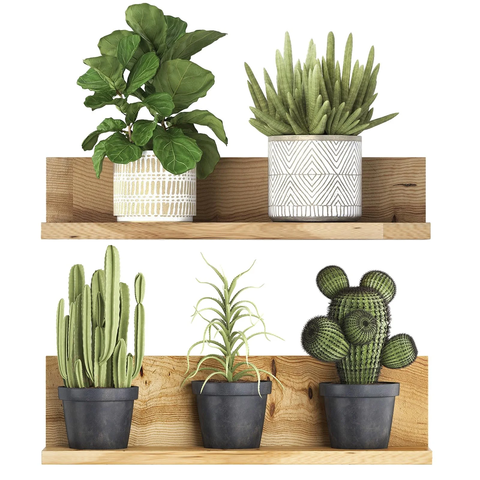 3D наклейка на стіну Рослини в горщиках Бонсай та звисаючі ліани ПВХ Зелений, фото №1 3D наклейка на стіну Рослини в горщиках Бонсай та звисаючі ліани ПВХ Зелений, фото №1