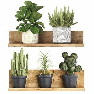 Купити 3D наклейка на стіну Рослини в горщиках Бонсай та звисаючі ліани ПВХ Зелений - Фото 1 3D наклейка на стіну Рослини в горщиках Бонсай та звисаючі ліани ПВХ Зелений - Фото 1