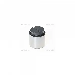 Поршень гальмівного супорта TRISCAN 8170 234867 - Фото 1