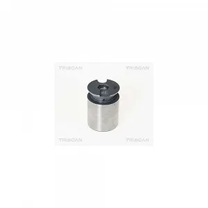 Поршень гальмівного супорта TRISCAN 8170 233863 для - Фото 1