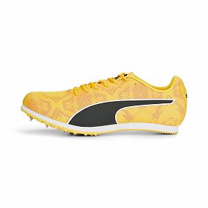 Кросівки PUMA Evospeed Star 8 - Фото 1