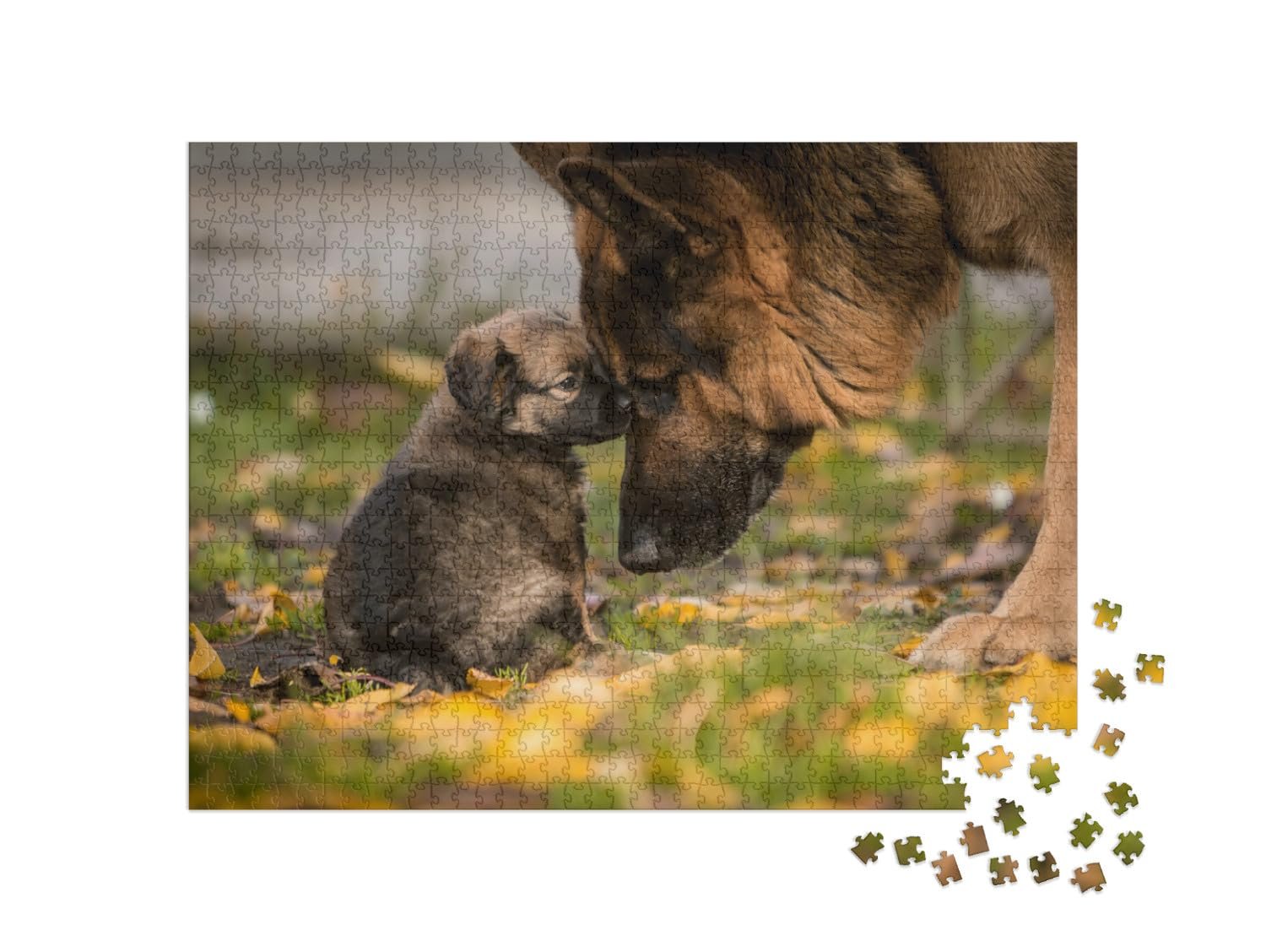 Пазл puzzleYOU Dog and Shepherd Puzzle Collection Любовь между щенком и взрослой немецкой овчаркой 1000 элементов, фото №2