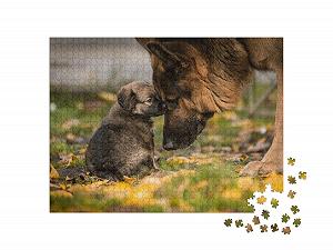 Пазл puzzleYOU Dog and Shepherd Puzzle Collection Любовь между щенком и взрослой немецкой овчаркой 1000 элементов synthetic.ua - Фото 1