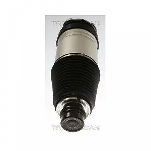 Пневморессора подвески TRISCAN 8720 81101 TESLA Передняя ось с обеих сторон synthetic.ua - Фото 1