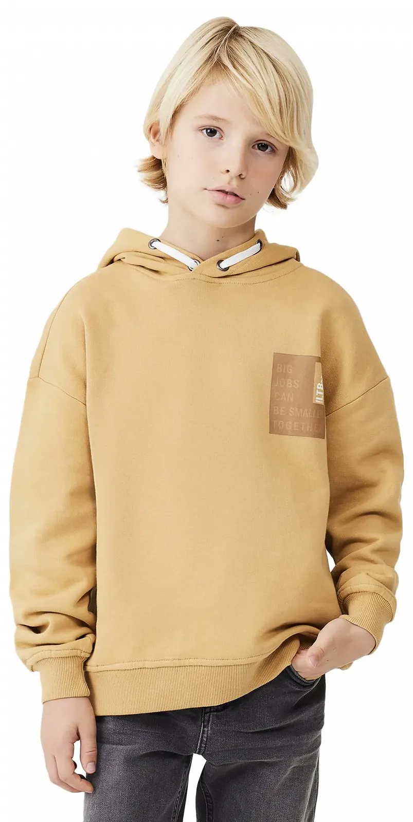 Толстовка LTB Jeans для хлопчиків Sumoya, розмір 176 см, коричневий, фото №4