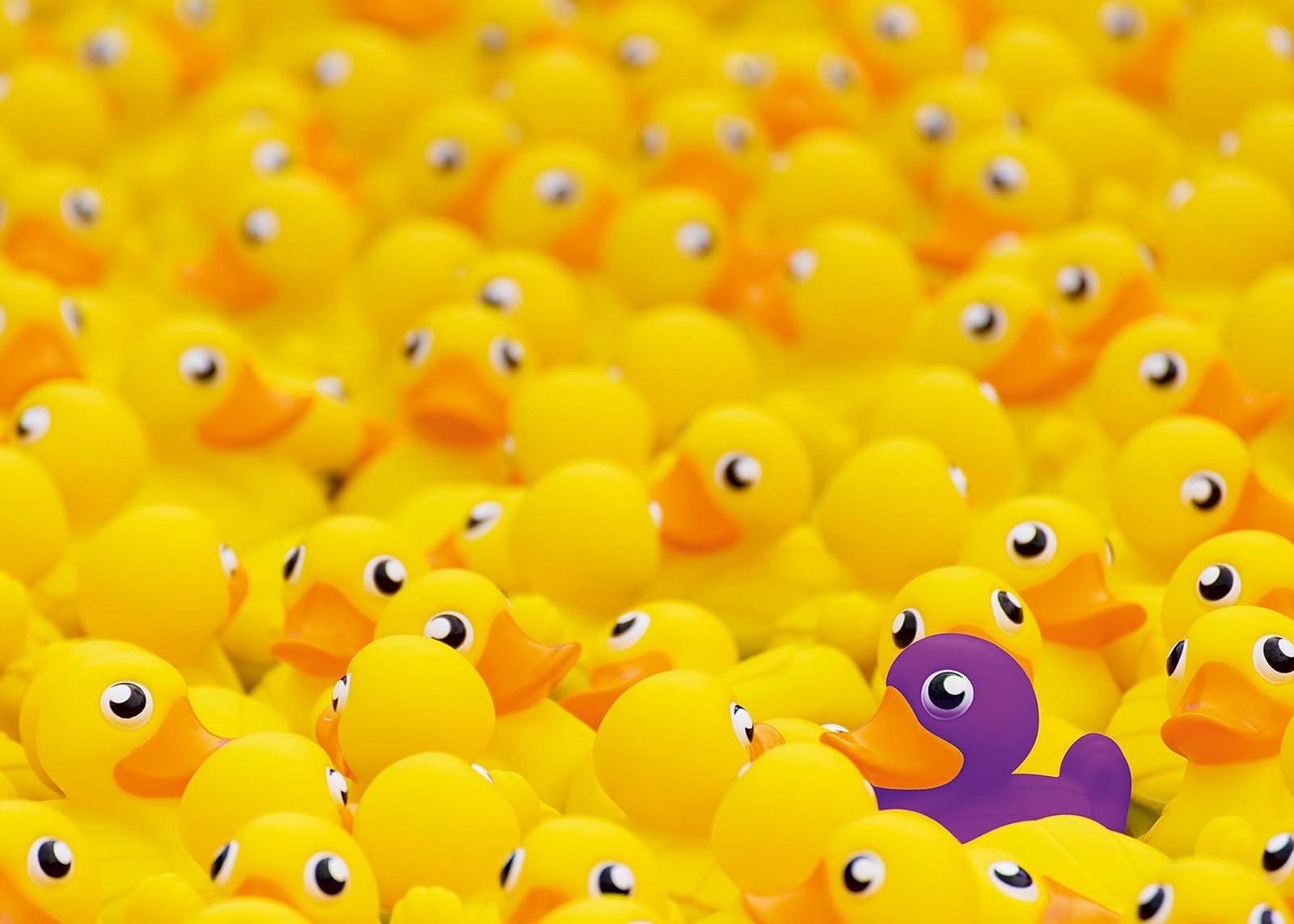 Пазл Ravensburger 12000587 Squeaky Ducks 1000 деталей, фото №1