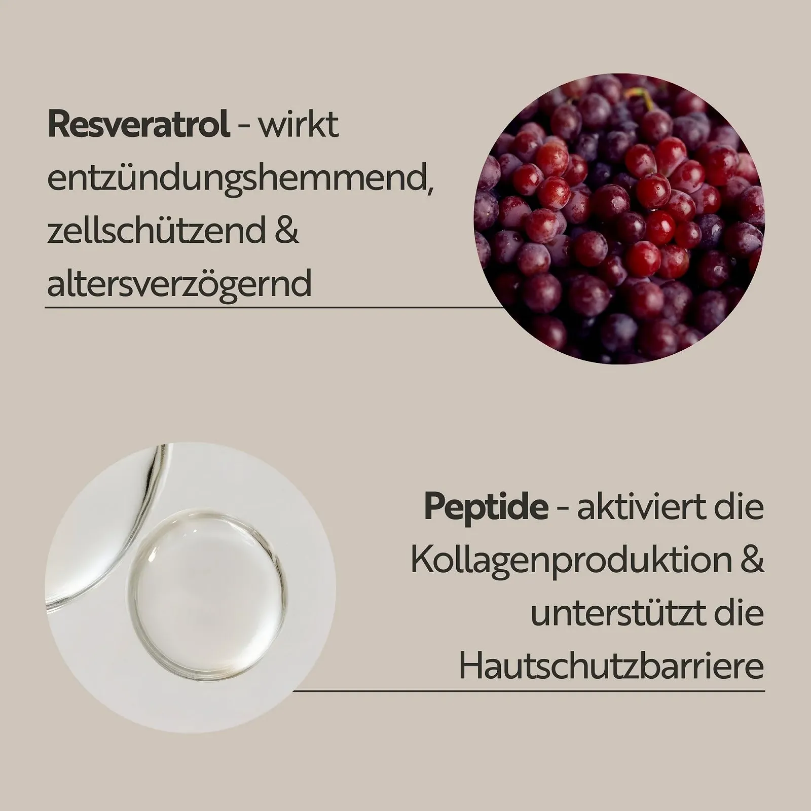 Денний крем M. Asam Resveratrol Premium NT50 Lifting SPF 15 100 мл, фото №4 Денний крем M. Asam Resveratrol Premium NT50 Lifting SPF 15 100 мл, фото №4