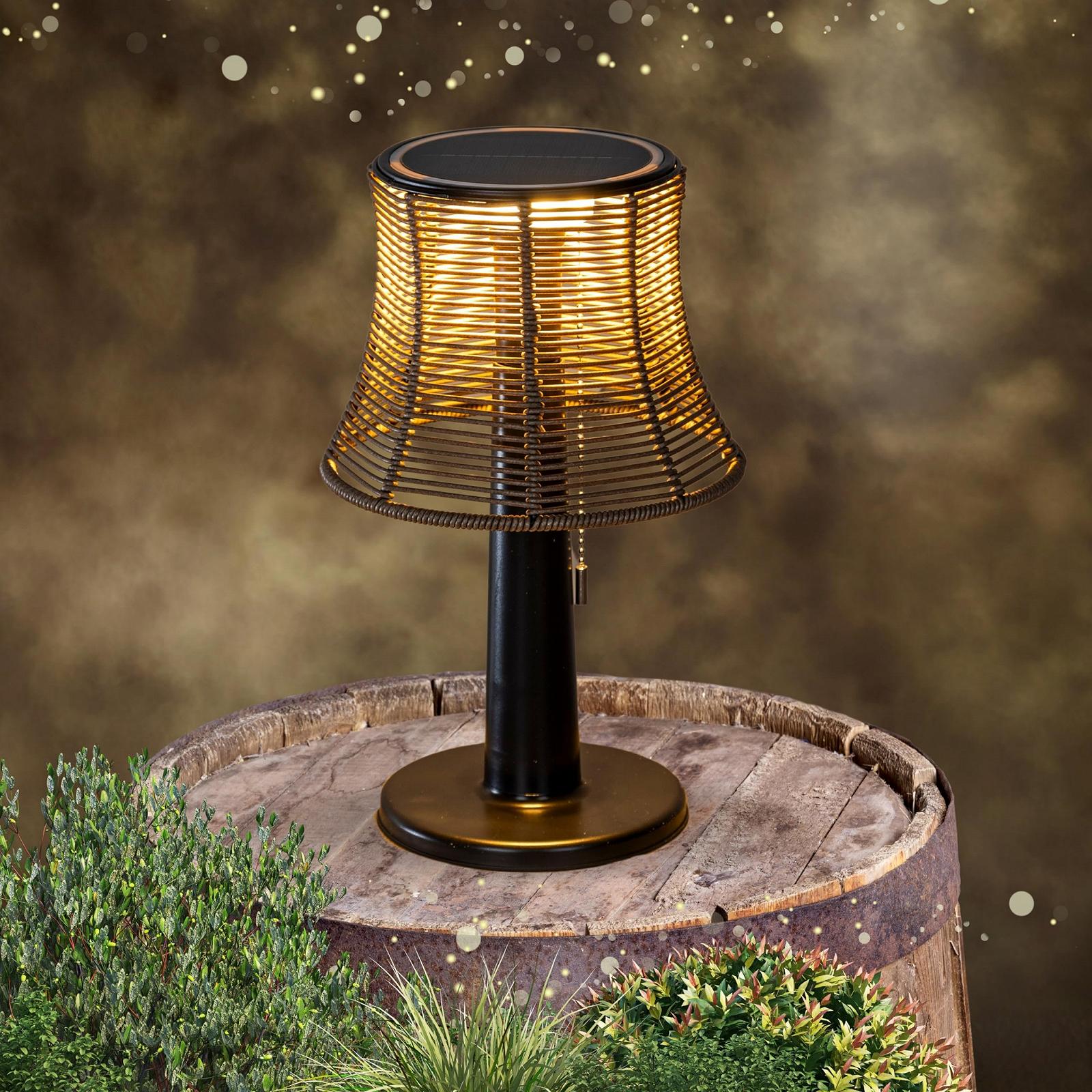 Настільна лампа LED Solar Rattan Look Wireless Portable 10 LED IP44 Black, фото №1