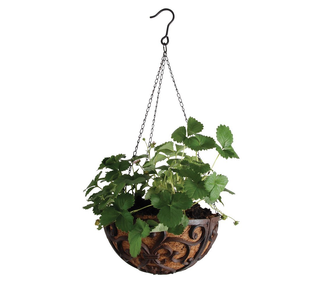 Підвісний кошик Dehner 30 см чавун/кокосове волокно коричневий, фото №5 Підвісний кошик Dehner 30 см чавун/кокосове волокно коричневий, фото №5