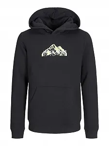 Худи JACK&JONES JUNIOR Jcomountain Logo Sweat Hood Sn Mni для мальчиков - Фото 1