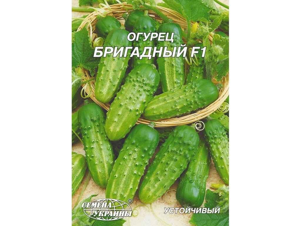Гігант Огірок Бригадный F1 4 г 10 пачок ТМ СЕМЕНА УКРАИНЫ, фото №1 Гігант Огірок Бригадный F1 4 г 10 пачок ТМ СЕМЕНА УКРАИНЫ, фото №1
