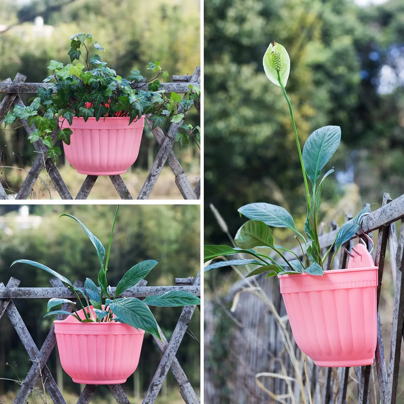 Настенное кашпо ORIMERC 4 шт. Полимерная смола Разноцветный, фото №5 Настенное кашпо ORIMERC 4 шт. Полимерная смола Разноцветный, фото №5