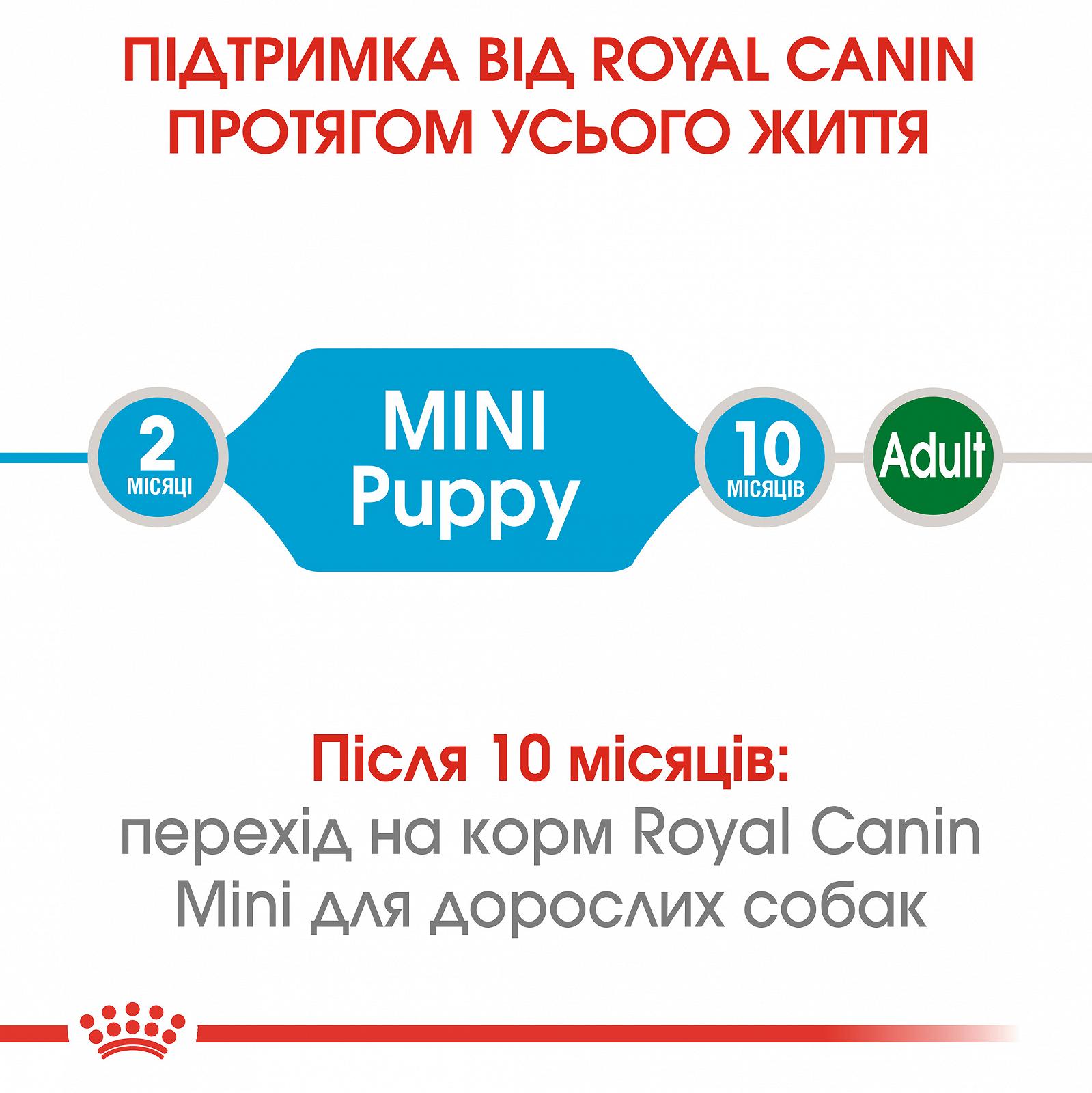 Сухой корм для щенков мелких пород Royal Canin Puppy Mini до 10 месяцев 800 г (30000082), фото №5