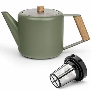 Чайник-заварник Bredemeijer Green двостінний 1.1 літра з нержавіючої сталі з великим ізоляційним фільтром для чаю - Фото 1