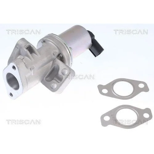 Клапан EGR TRISCAN 8813 43024 для HYUNDAI KIA, фото №3