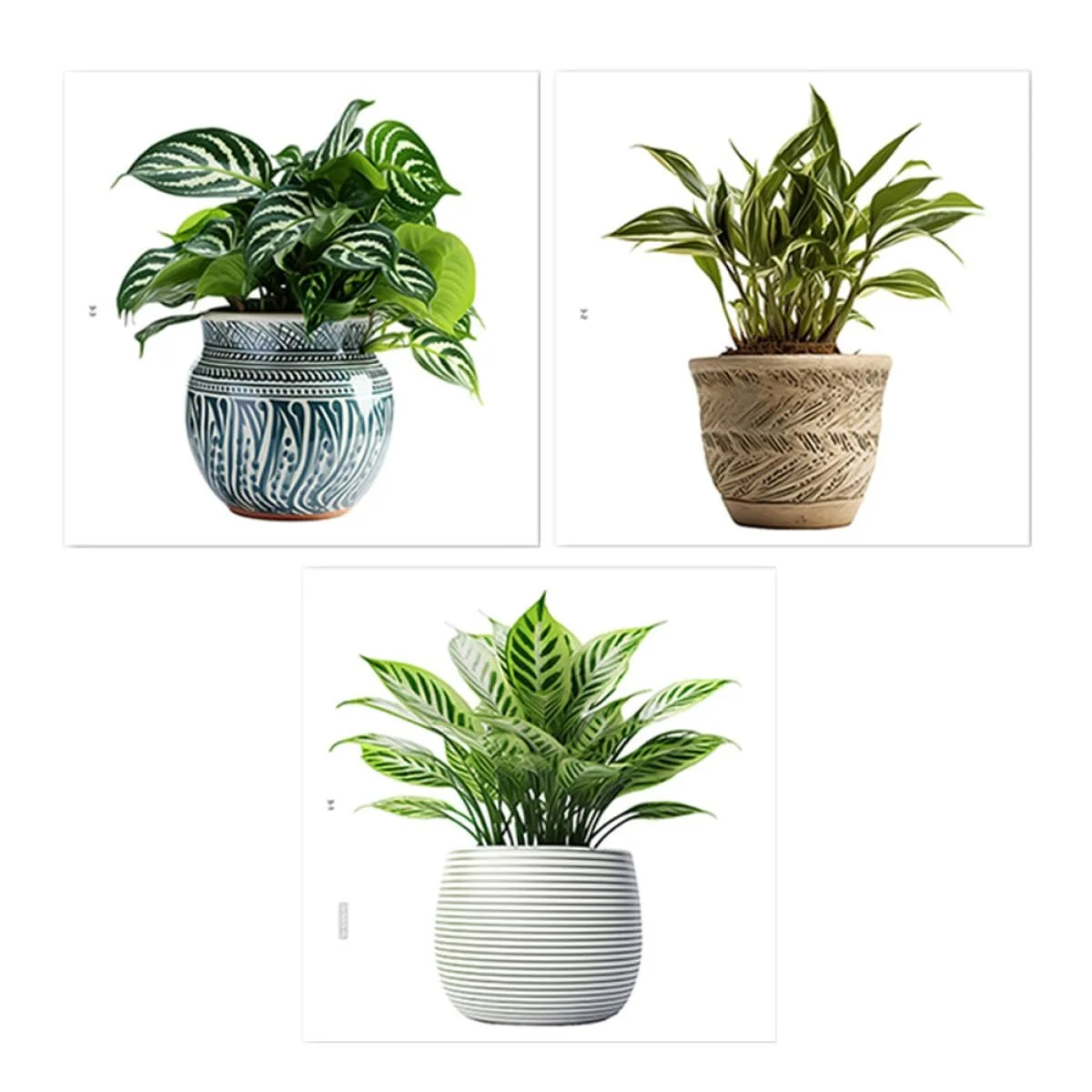 Наклейки на вікна 3 листи Рослини 30 x 30 см Самоклеючі Прозорі, фото №1 Наклейки на вікна 3 листи Рослини 30 x 30 см Самоклеючі Прозорі, фото №1