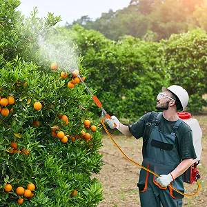 Бензиновий ранцевий обприскувач 20 л 25.4 куб. см 0.7 кВт ціна на synthetic.ua - Фото 1 Бензиновий ранцевий обприскувач 20 л 25.4 куб. см 0.7 кВт synthetic.ua - Фото 1
