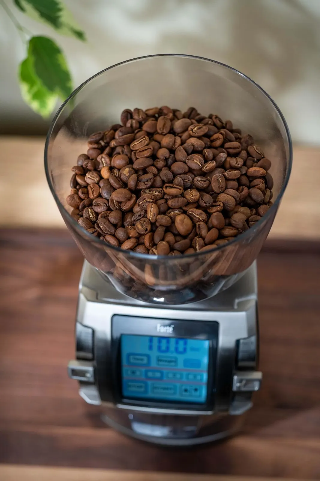 Кофемолка электрическая Baratza Forte BG 230V с плоскими стальными жерновами и сенсорным экраном для эспрессо, капучино или индивидуальной дозировки нержавеющая сталь, фото №6