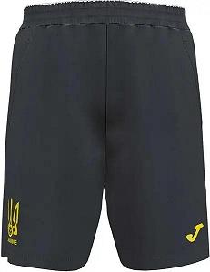 Шорты Joma Ukraine National Team L Бесцветный - Фото 1