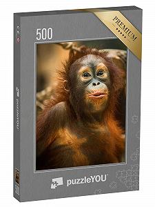Пазл puzzleYOU Animals Орангутанг 500 элементов - Фото 1