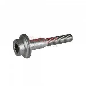 Болт держателя форсунки METZGER 0873053 для AUDI SEAT - Фото 1