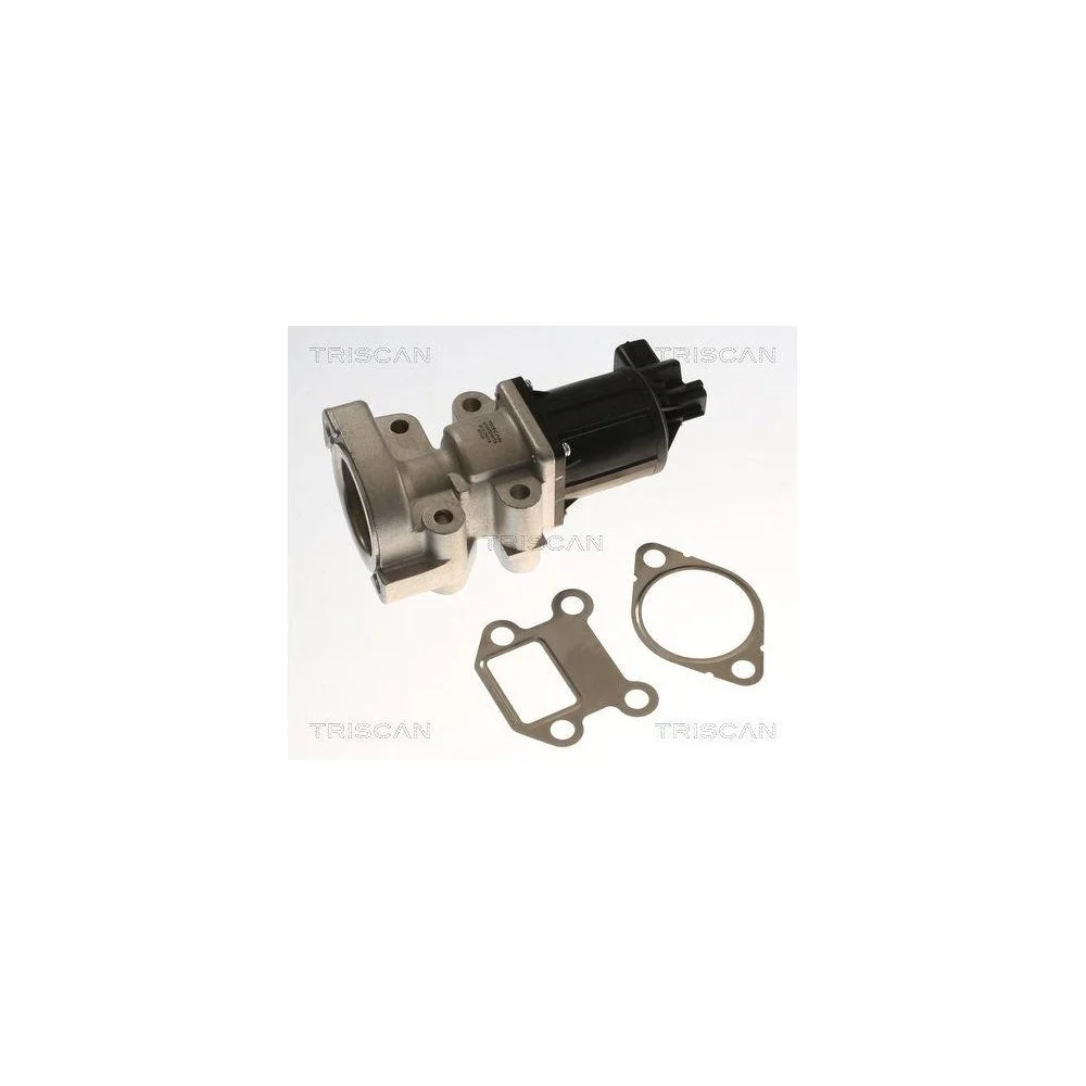 Клапан EGR TRISCAN 8813 24018 для OPEL VAUXHALL CHEVROLET, фото №1