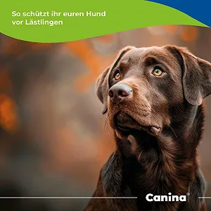Нашийник Canina Petvital Organic Large 65 см 74143 4 ціна на synthetic.ua - Фото 1 Нашийник Canina Petvital Organic Large 65 см 74143 4 synthetic.ua - Фото 1