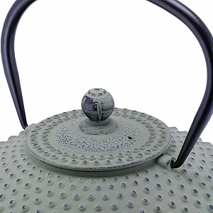 Чайник-заварник Bredemeijer Green Чавунний 1.25 літра synthetic.ua - Фото 1