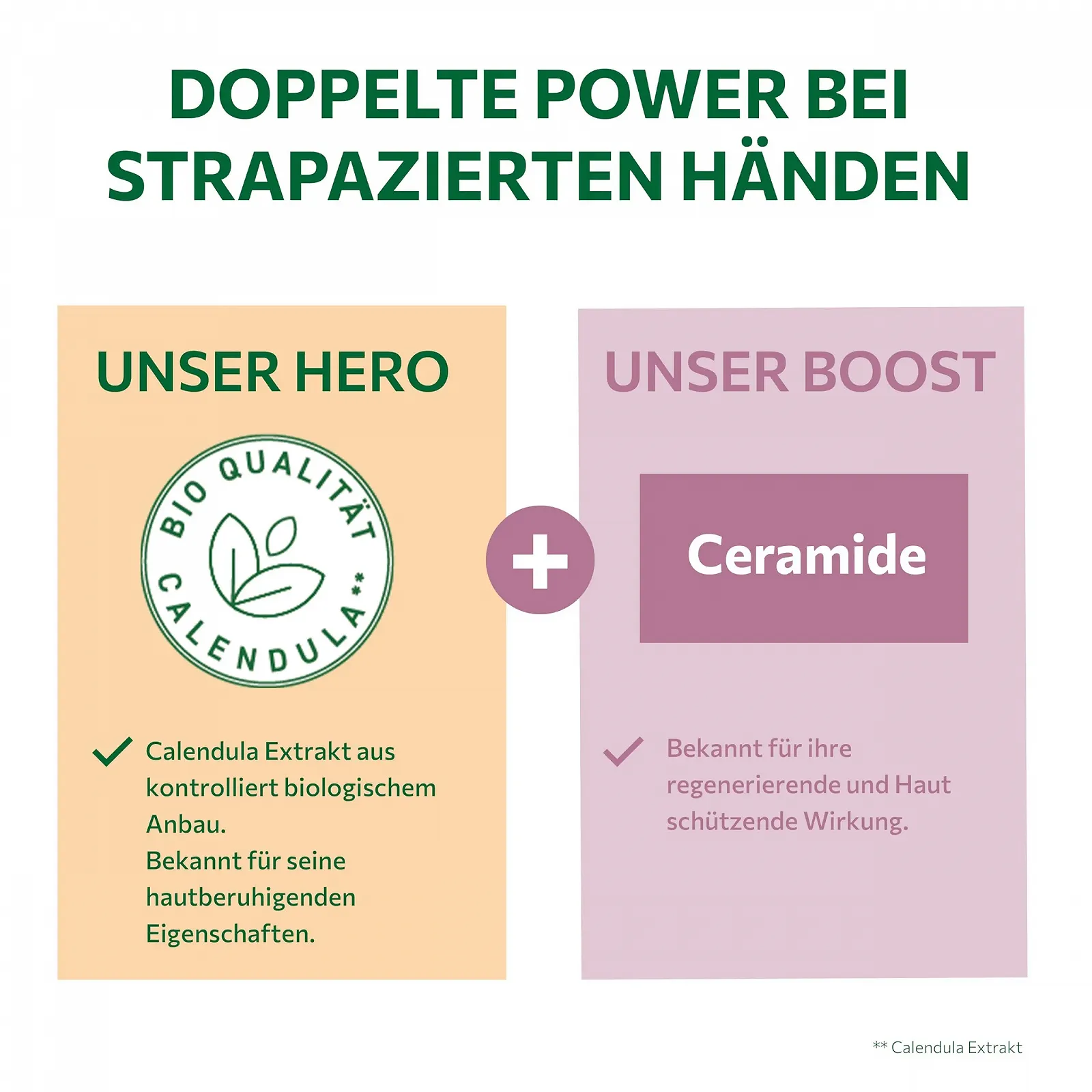 Концентрат для рук alkmene Регенерирующий с календулой для поврежденной кожи рук 75 мл, фото №3 Концентрат для рук alkmene Регенерирующий с календулой для поврежденной кожи рук 75 мл, фото №3