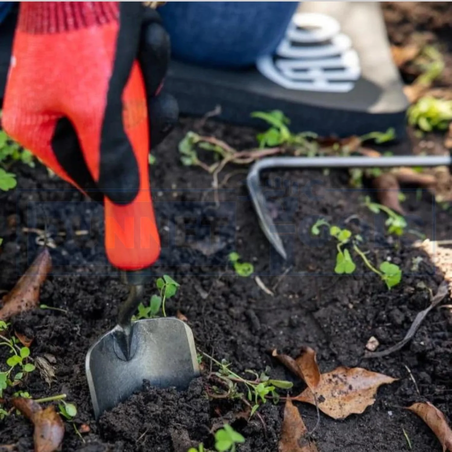 Садовий Лопата совковая Dunnet Tools Ручний Інструмент з Дерев'яною Ручкою для Садіння, Пересадки, Прополювання, Переміщення та Розгладження Грунту, фото №4