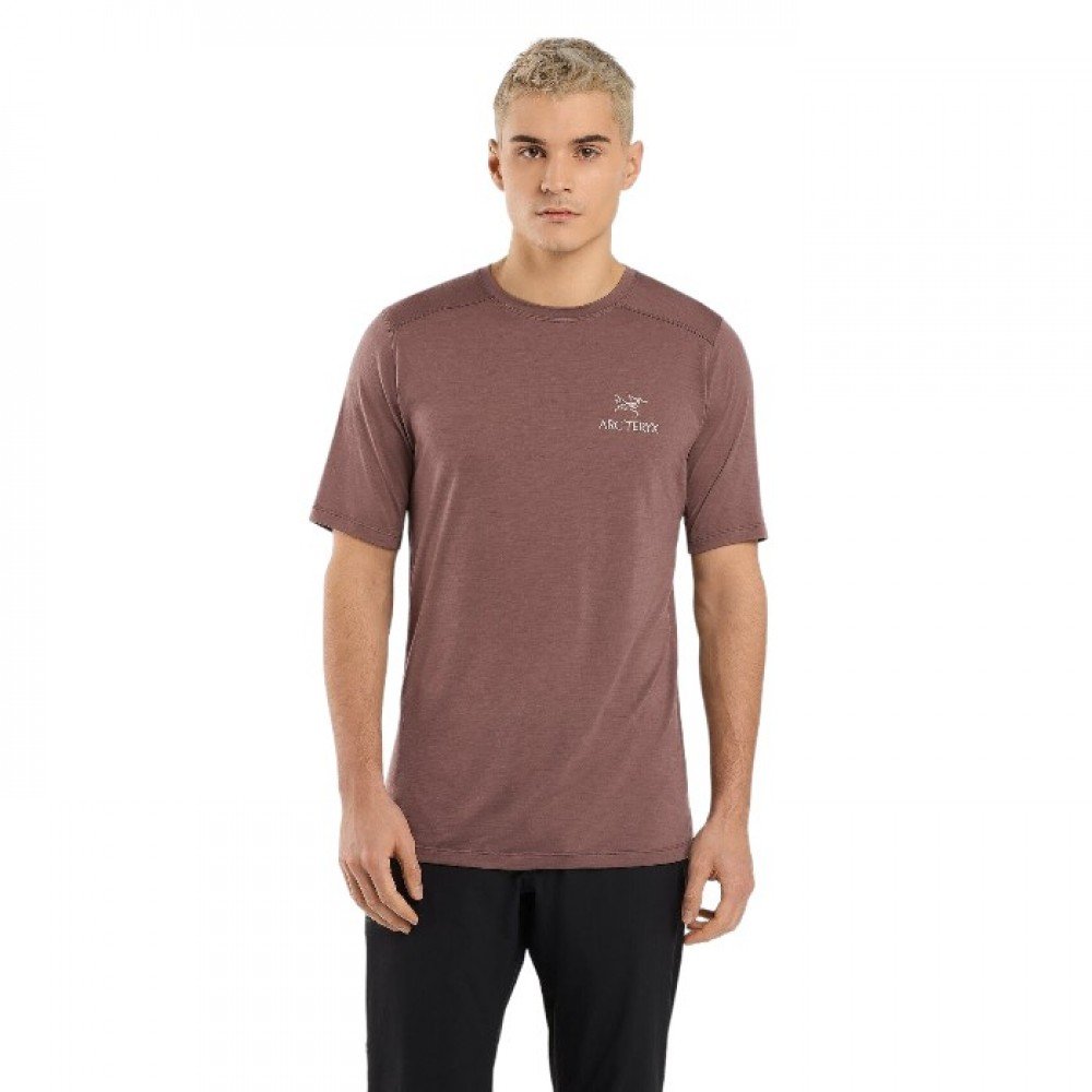 Футболка Arcteryx lonia Merino Wool Arc'Word SS Men's in Brown XL, фото №1