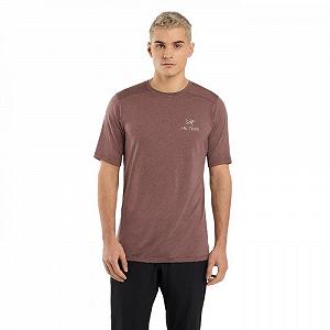Футболка Arcteryx lonia Merino Wool Arc'Word SS Men's in Brown XL - Фото 1
