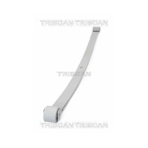 Ресора TRISCAN 8765 10006, задній міст, фото №2