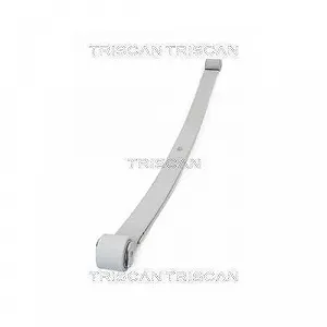 Ресора TRISCAN 8765 10006, задній міст synthetic.ua - Фото 1