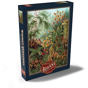 Пазл MyPuzzle Special Collection Moss (Muscinae) - Art Forms in Nature, Vintage Art Poster, Ernst Haeckel 1000 элементов synthetic.ua - Фото 1