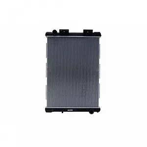 Радиатор, охлаждение двигателя HELLA 8MK 366 300-021 для MAN synthetic.ua - Фото 1