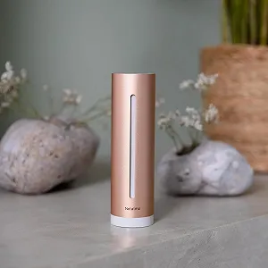 Монитор качества воздуха в помещении Netatmo Home Coach NHC-EC Wi-Fi Розовый synthetic.ua - Фото 1