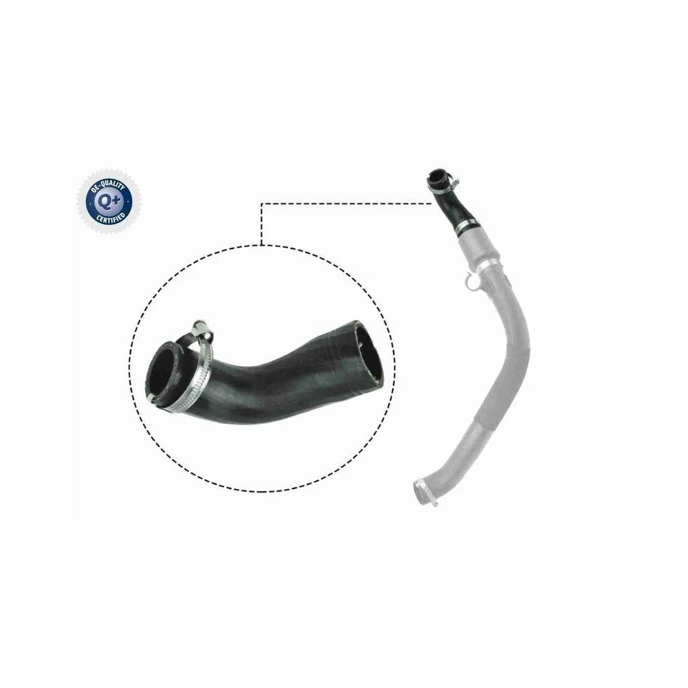 Шланг інтеркулера VAICO V25-1044 Q+ FORD, фото №1