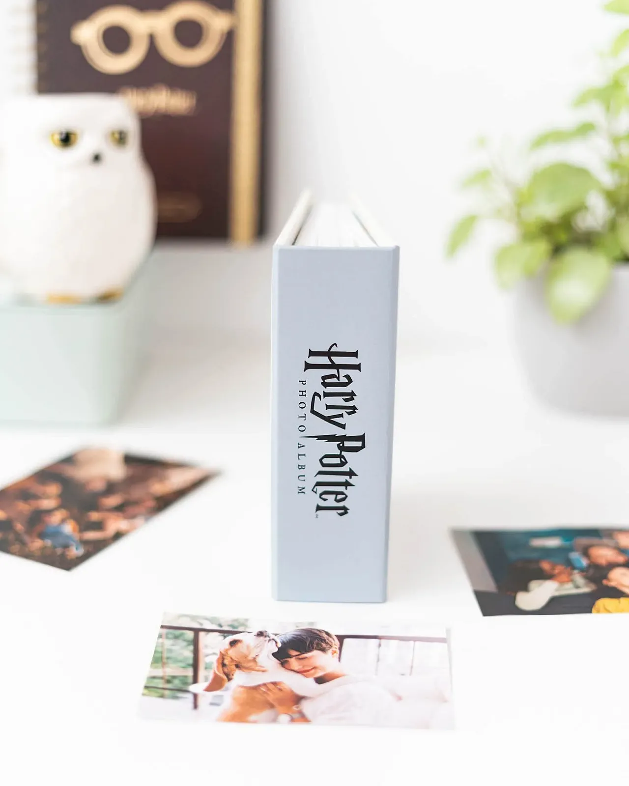 Фотоальбом Grupo Erik Harry Potter Вставной альбом 10 x 15 см, фото №5 Фотоальбом Grupo Erik Harry Potter Вставной альбом 10 x 15 см, фото №5