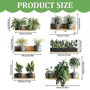 Наклейки на стіну Plants 4 шт. Самоклеючі Зелене листя Кактус synthetic.ua - Фото 1