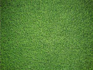 Пазл Impoccibles Natural Grass 1000 деталей 66 x 50 см synthetic.ua - Фото 1
