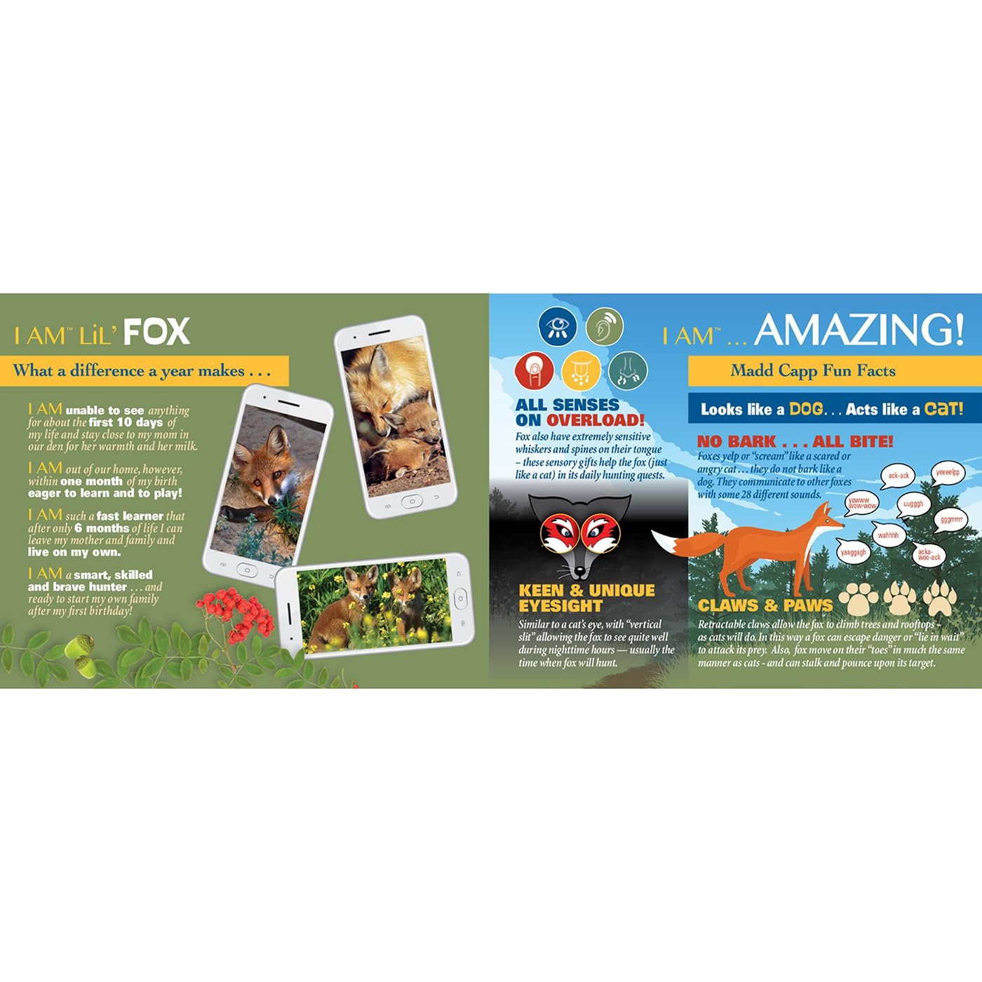 Фігурні пазли Madd Capp Shapepuzzle Junior 884001 Contour Puzzle Fox 100 XL деталей Multicoloured, фото №6