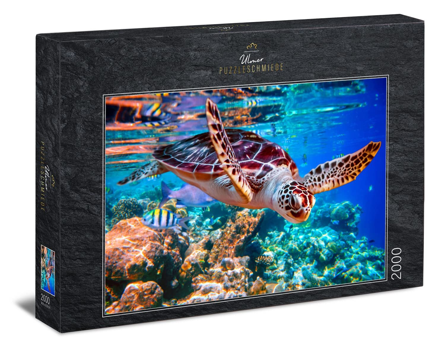 Пазл Ulmer Puzzleschmiede Sea Turtle 2000 элементов Морская черепаха, фото №1 Пазл Ulmer Puzzleschmiede Sea Turtle 2000 элементов Морская черепаха, фото №1