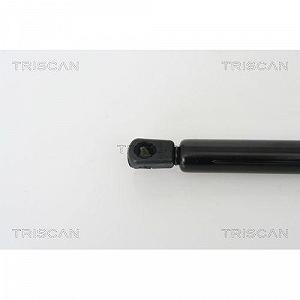 Газовая пружина багажника TRISCAN 8710 23210 MERCEDES-BENZ, задняя левая synthetic.ua - Фото 1