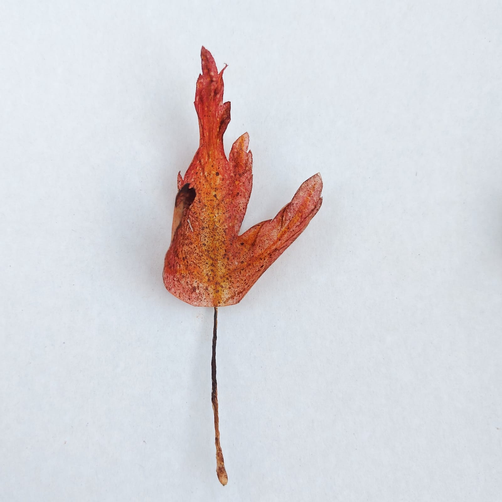 Вафельные цветы SiNegur Осенние листья, набор (7шт.) (ls_topper_leaves7set), фото №3