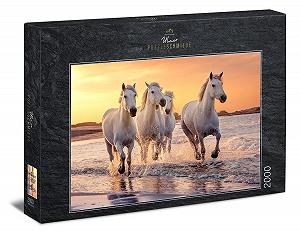 Пазл Ulmer Puzzleschmiede Camargue Horses 2000 элементов Белые кони Камарга - Фото 1