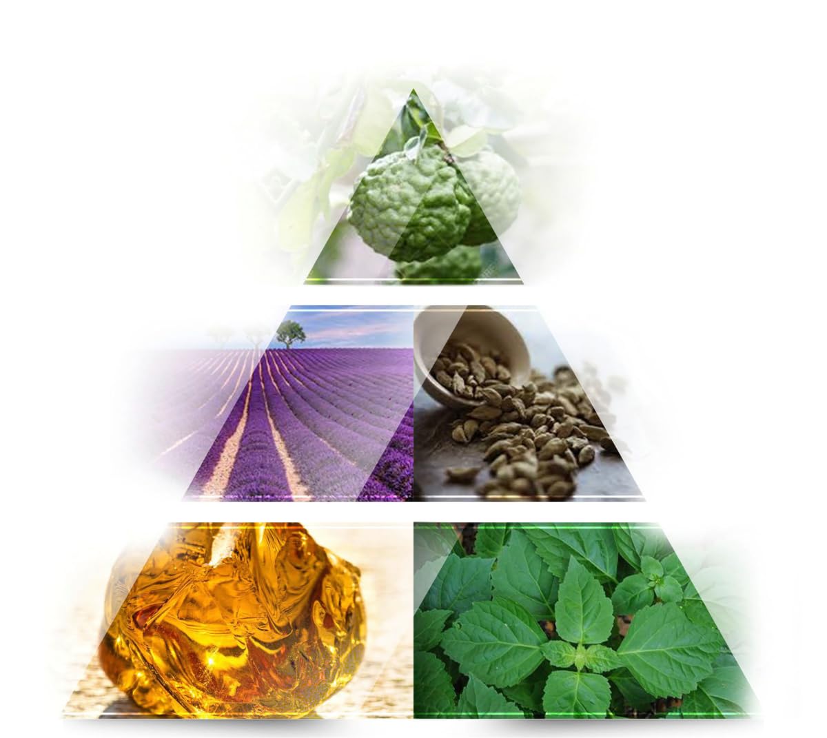 Туалетна вода La Rive Extreme Story 75 мл Чоловічий парфум, фото №5 Туалетна вода La Rive Extreme Story 75 мл Чоловічий парфум, фото №5