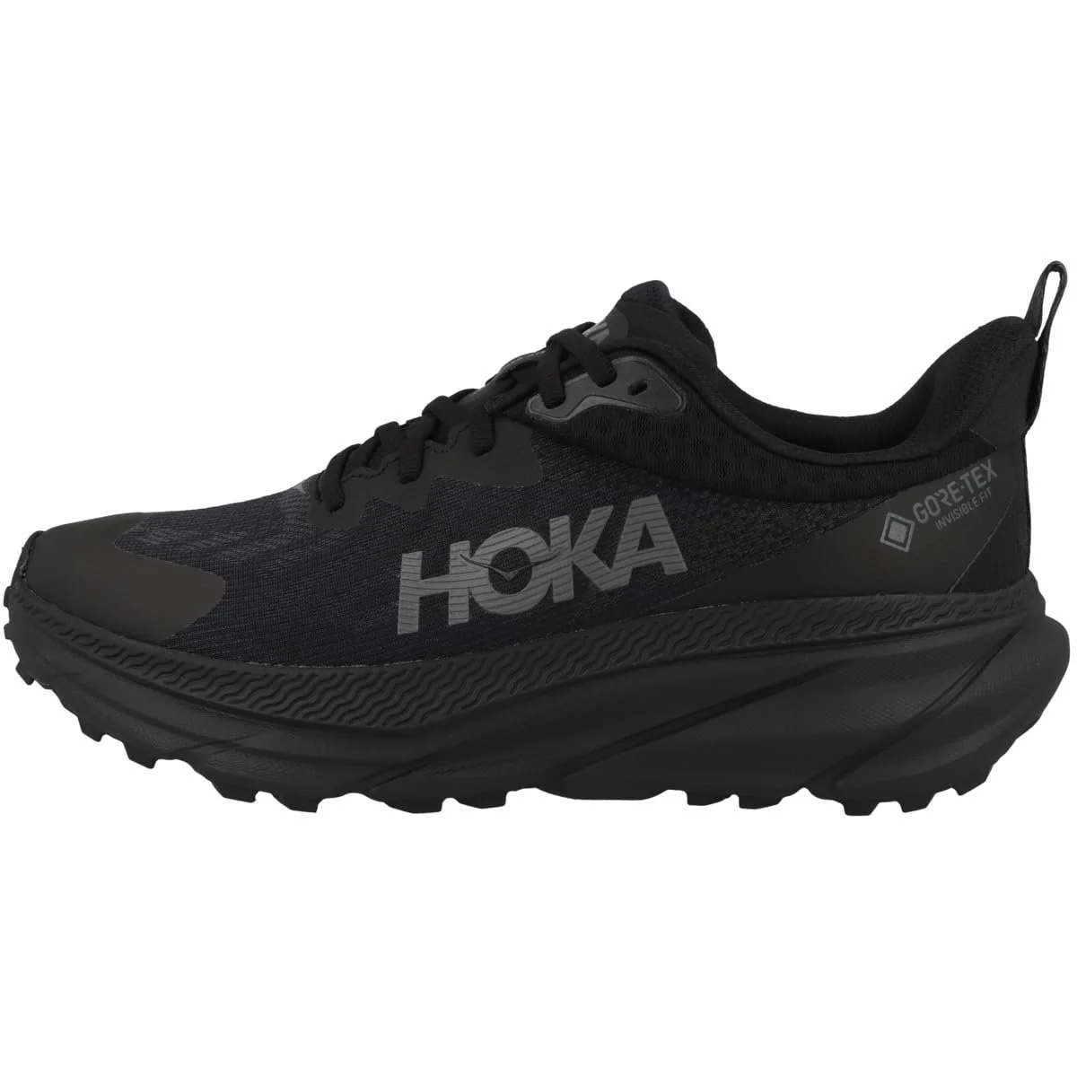 Чоловічі Кросівки HOKA Challenger 7 GTX, фото №1