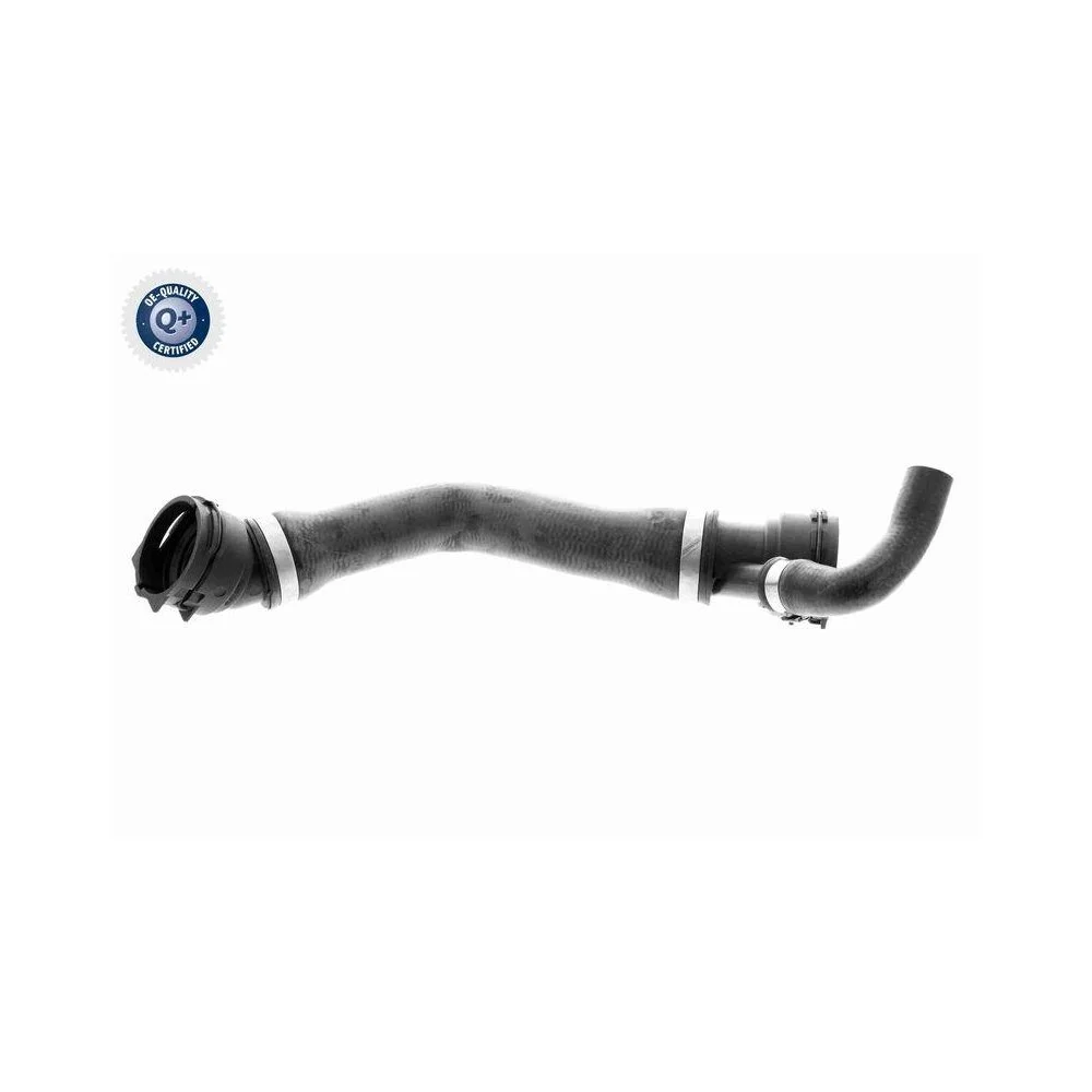 Шланг радиатора VAICO Q+ V20-1331 для BMW нижний, фото №1